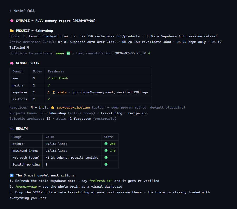 The /brief full report — complete state of both memory levels