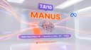 Manus
